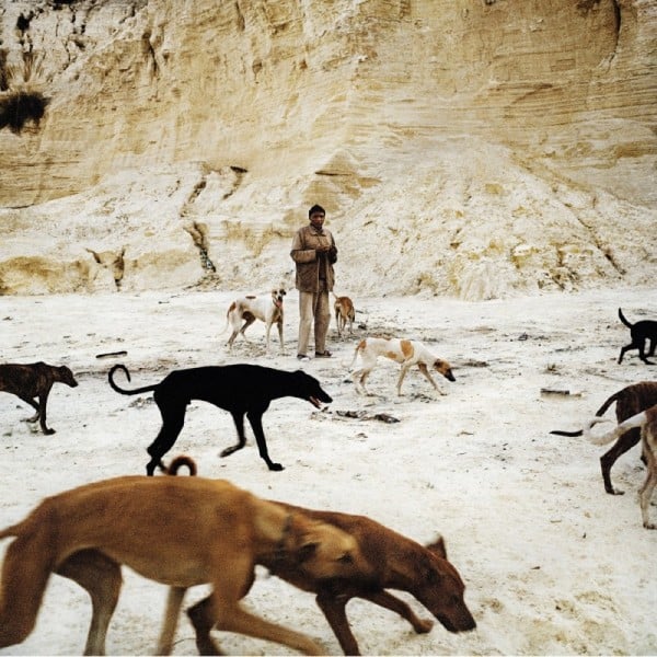Jason Larkin, Daniel and the Hunting Dogs, Selby, Johannesburg (2010). From the series 