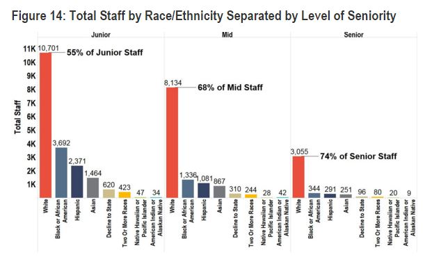 total staff by race separated