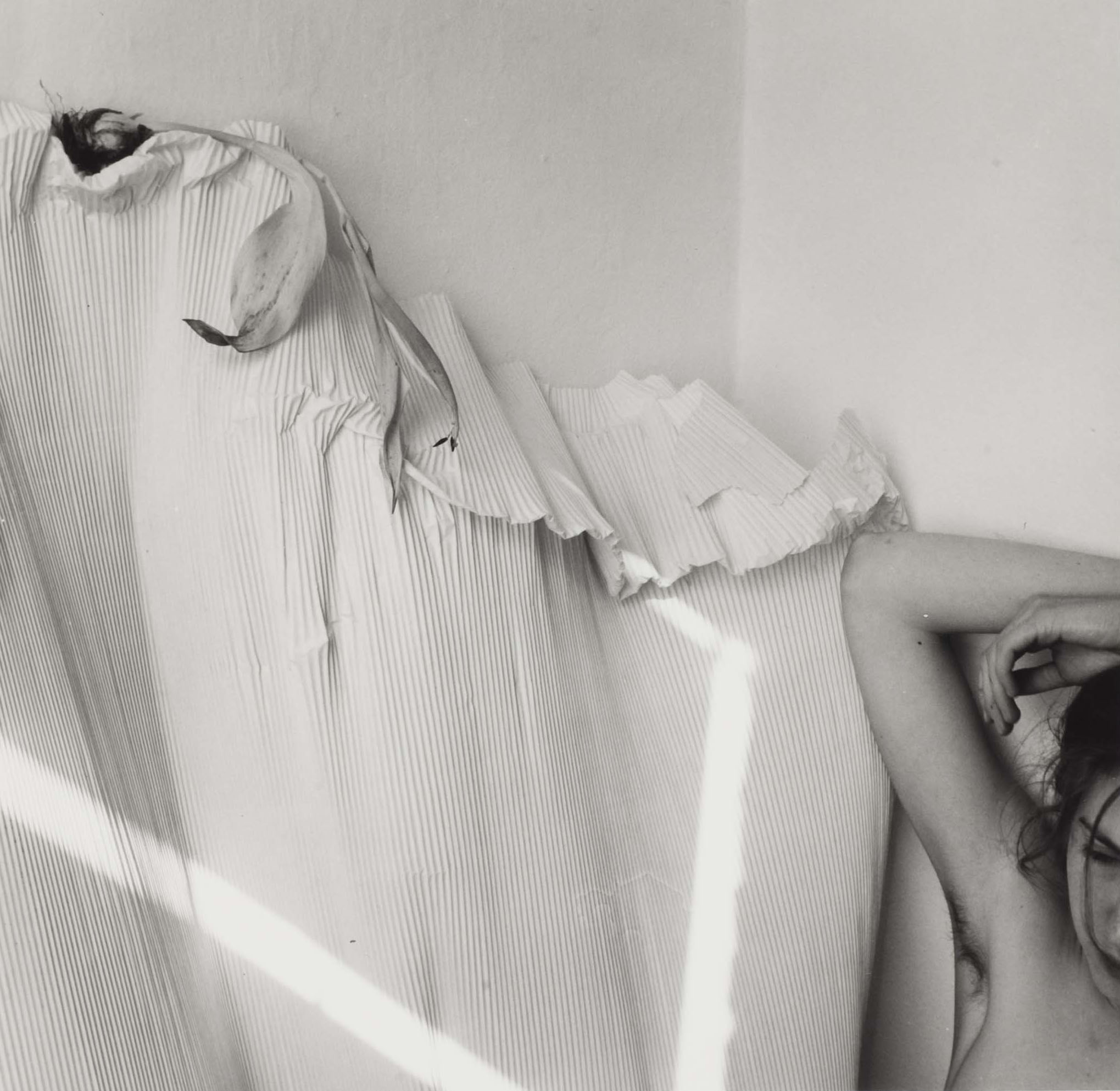 Francesca Woodman, Untitled (1980).<br>Photo: Courtesy of the Wilson Centre for Photography © Estate of Francesca Woodman (New York, USA).