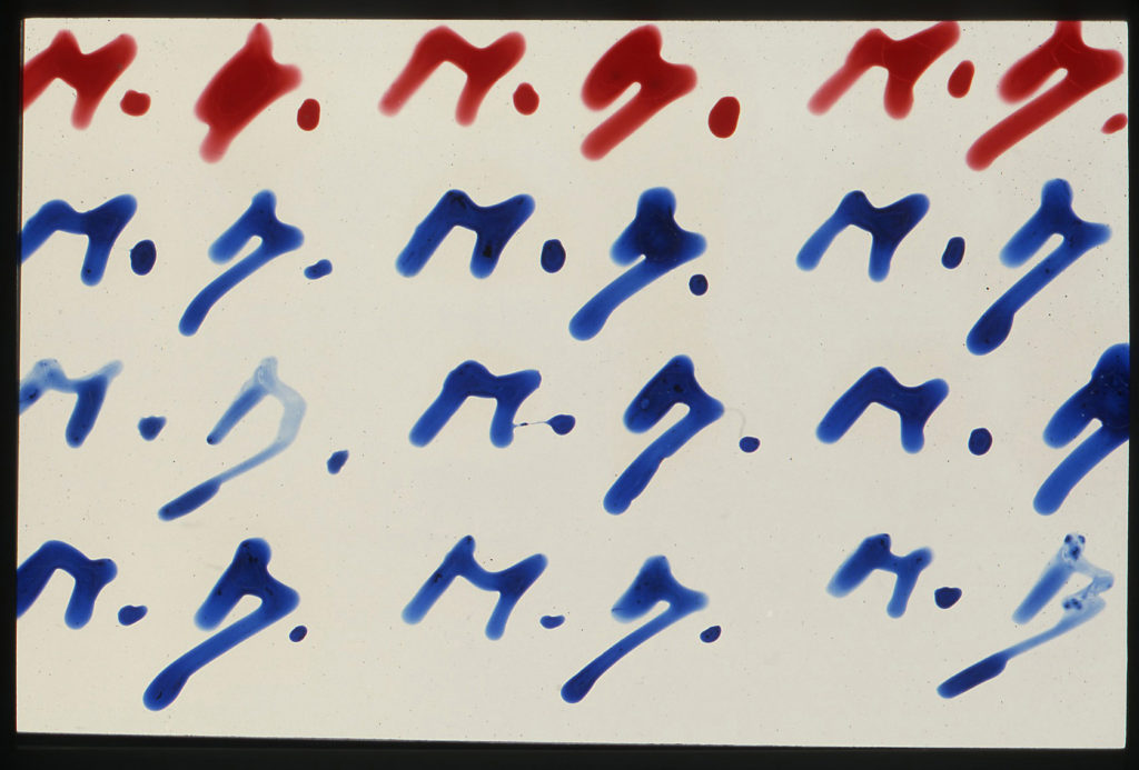Marcel Broodthaers, Signatures, (1971) Photo: Courtesy of the Michael Werner Gallery