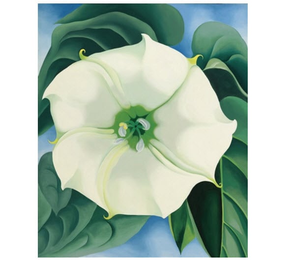 Georgia O'Keeffe, Jimson Weed/White Flower No. 1 (1932), Courtesy to the Artist.