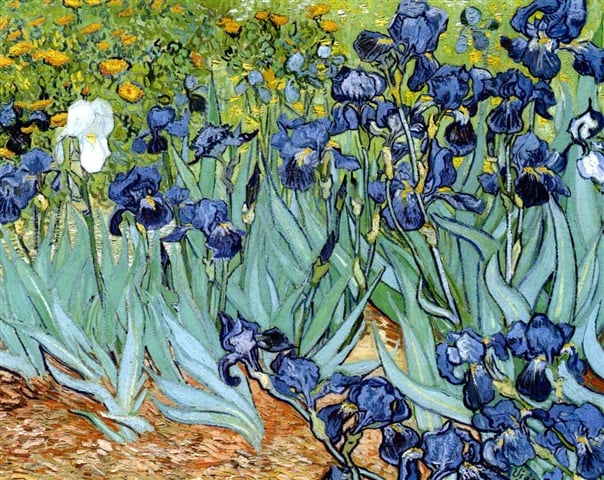 Vincent van Gogh, <em>Irises</em> (1889).<br />Photo: Courtesy of artnet Price Database.
