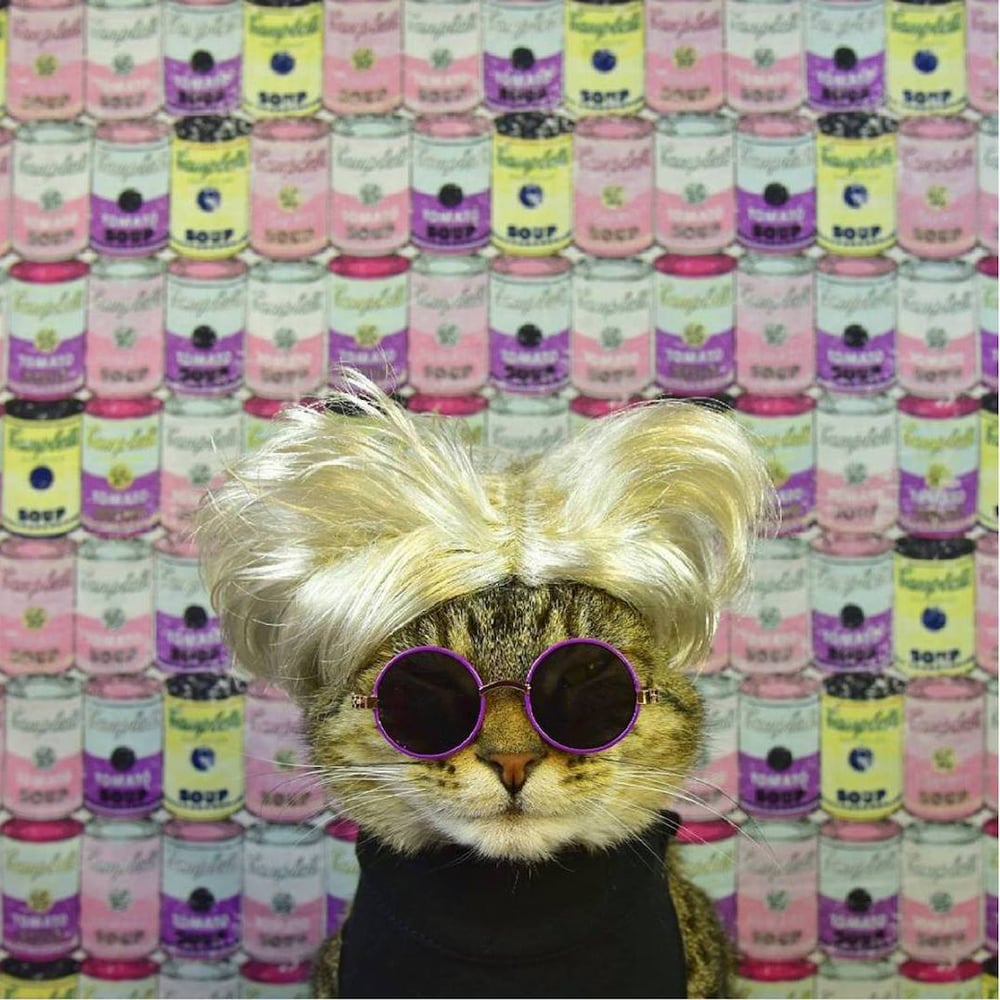 Paul Koudounaris, <em>Warhol Cat</em>.<br>Photo: Courtesy of Cat Art Show LA.