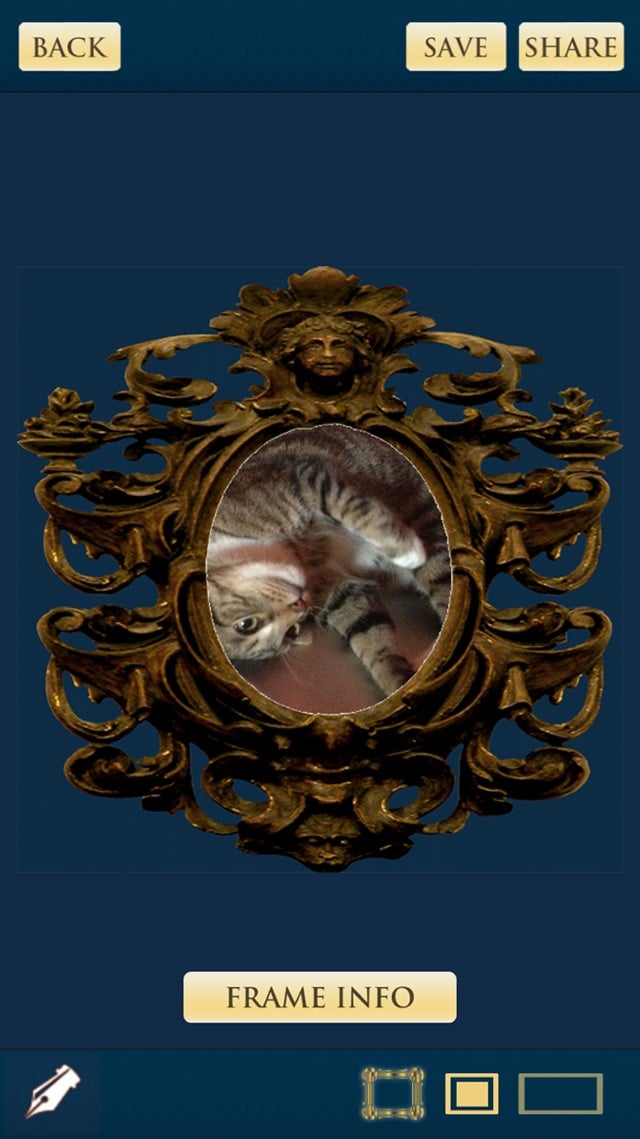 The author's cat, Barnaby, in the process of being enhanced with the eWilner app.