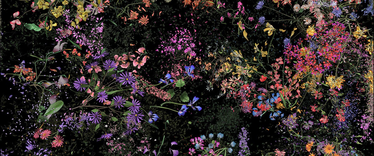 Jennifer Steinkamp, <em>Botanic</em>, detail (2015). Courtesy the artist and Lehmann Maupin, New York and Hong Kong. 