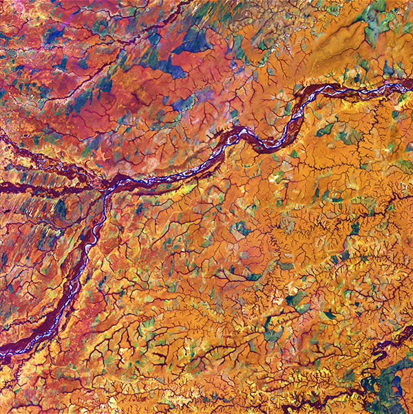<em>Capillaries</em>, "Earth as Art," January 28, 2014. <br>Marking part of the boundary between Colombia and Venezuela, the Meta River resembles an artery among capillaries within the human body. Those capillary-like features actually depict dense tree cover along the numerous streams that flow among rich tropical grassland. <br>Photo: USGS.