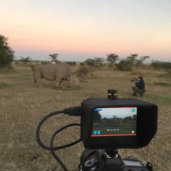  Diana Thater, shooting Pedro on location at Ol Pejeta, Kenya <br> Photo: T. Kelly Mason