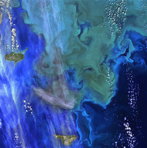 <em>Earth's Aquarium</em>, "Earth as Art," September 22, 2014. <br>These green and blue swirls in the Bering Sea reveal the bottom of the food chain in the ocean. Microscopic organisms called phytoplankton, which are important to fish populations, may be too small to be seen individually, but in vast numbers they are visible from space. The white clouds in the image look like bubbles in an aquarium. <br>Photo: USGS.