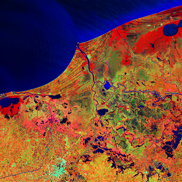 <em>Mexico's Biosphere</em>, "Earth as Art," February 20, 2014. <br>Much of this image consists of the Reserva de la Biosfera Pantanos de Centla, a biosphere reserve in southern Mexico that protects wetlands in the area. The water bodies, mangroves, and forests are a sanctuary for a great variety of wildlife. Sediment carried away by the Grijalva River appears as a sweeping light blue brushstroke flowing into the Gulf of Mexico at the top of the image. <br>Photo: USGS.