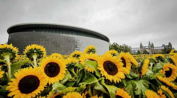 The Van Gogh Museum in Amsterdam Photo: REMKO DE WAAL/AFP/Getty Images