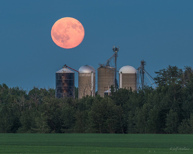The Summer Solstice full moon, dubbed the Strawberry Moon, on June 20, 2016. Courtesy of Jeff Wallace, via Flickr Creative Commons.