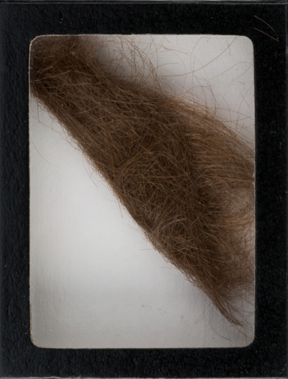 John Lennon's hair courtesy of Heritage Auctions
