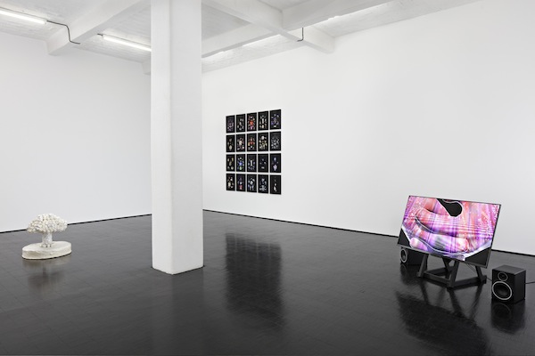 Installation view. Image courtesy the artists and Barbara Weiss, Berlin.