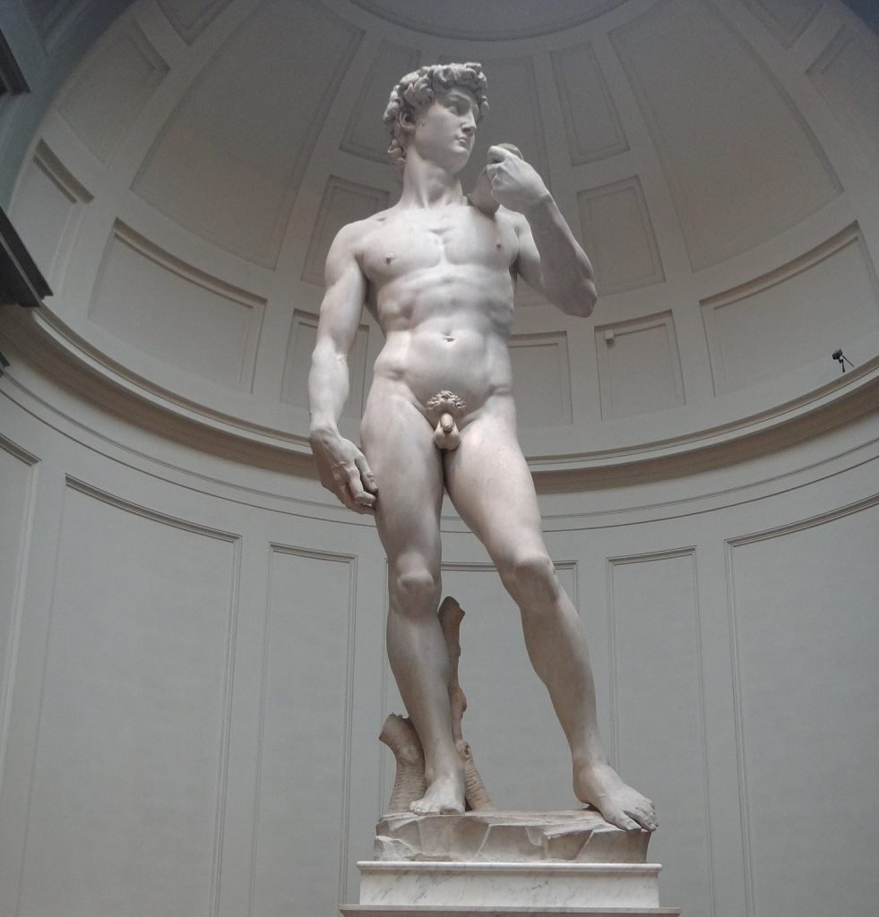 Michelangelo's David at the Galleria dell'Accademia in Florence. Photo by Annie Slizak, Creative Commons Attribution 3.0 Unported license