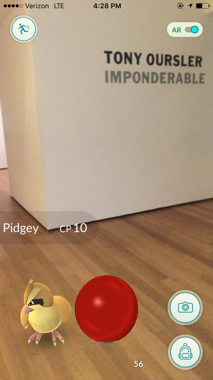 Wild Pidgey at MoMA. Courtesy of artnet News.