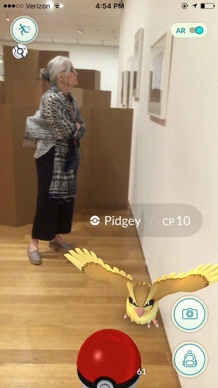 Wild Pidgey at MoMA. Courtesy of artnet News.