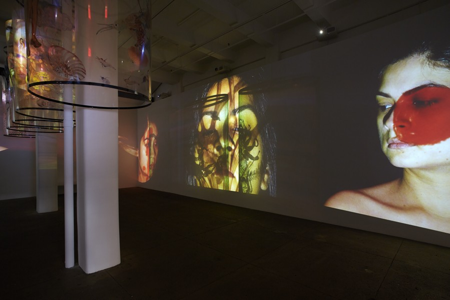 Nalani Malani, installation view In Search of Vanished Blood (2012). Courtesy of Galerie Lelong, NY.
