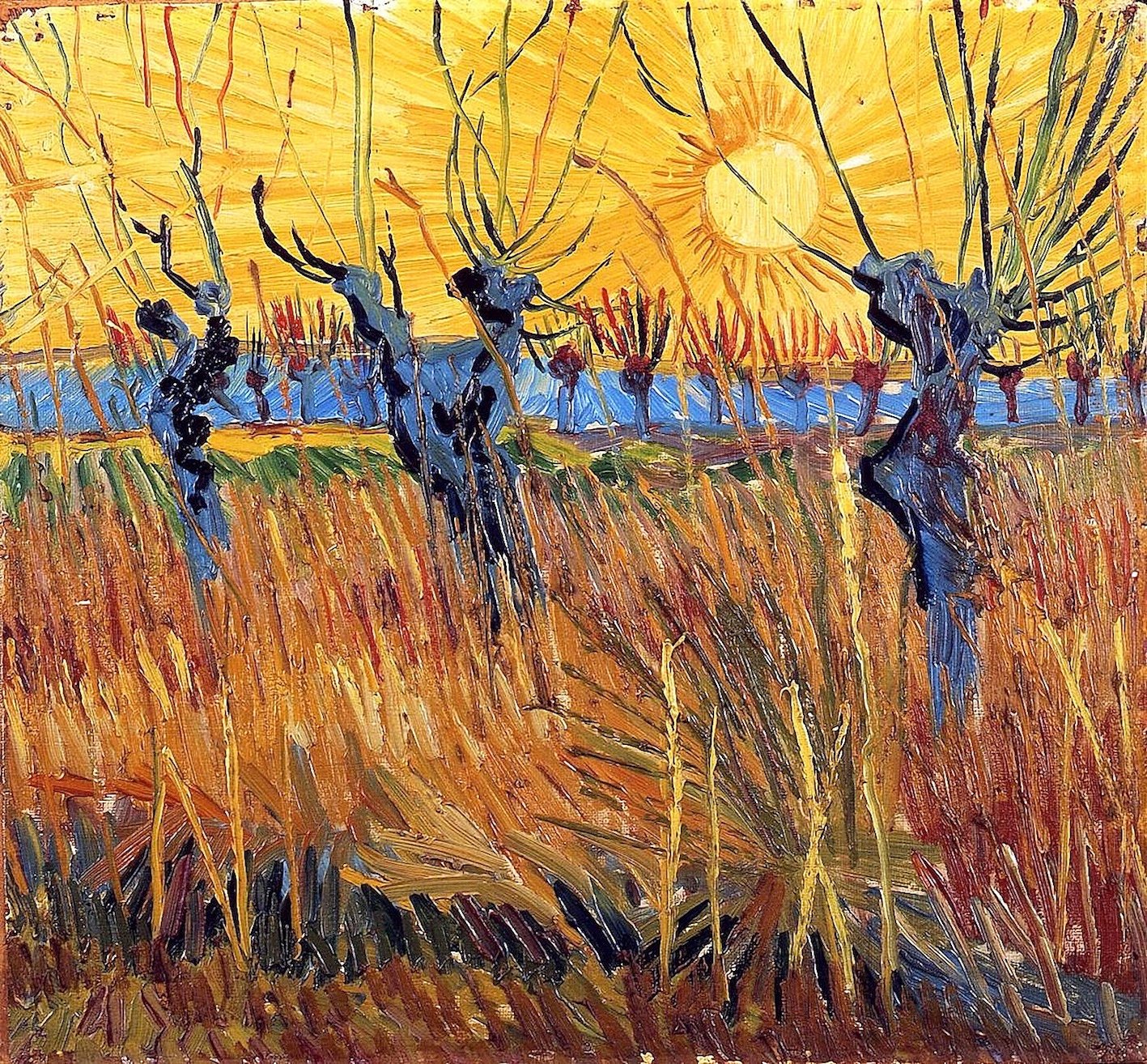 Vincent van Gogh, Pollard Willows at Sunset, 1888 courtesy of Fondation Vincent Van Gogh Arles.
