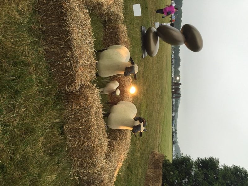 Francois-Xavier Lalanne, Three Sheep at Nova's Ark Project at Art Southampton . Photo by Eileen Kinsella