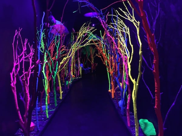 A magical forest inside Meow Wolf's House of Eternal Return. Image by Ben Davis.