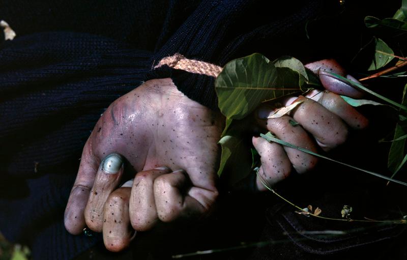 PJ Harvey & Seamus Murphy, The Hands of a Man Executed in Bernjake/ Brnjaka, between Fortese/Bela Crkva and Rahovec/Orahevac, in June 1999. Photo courtesy of the artists and Les Recontres d'Arles.