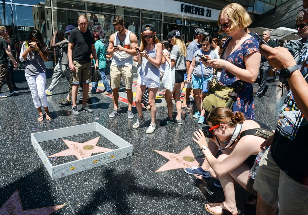 Plastic Jesus built a wall around Donald Trump's star on the Hollywood Walk of Fame. Courtesy of Plastic Jesus. 
