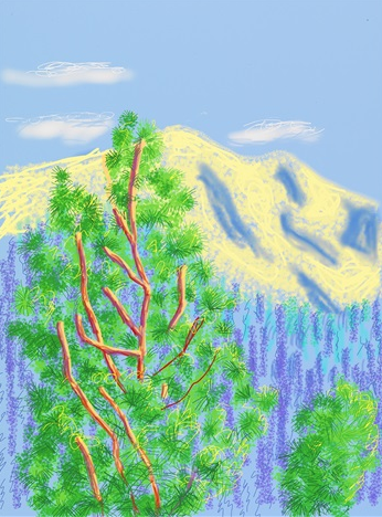 David Hockney, Untitled No.9 from the Yosemite Suite (2010). Courtesy of L.A. Louver.