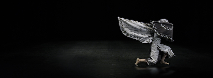 Simon Starling, video still from the Hawk Dance. Courtesy of the Japan Society.