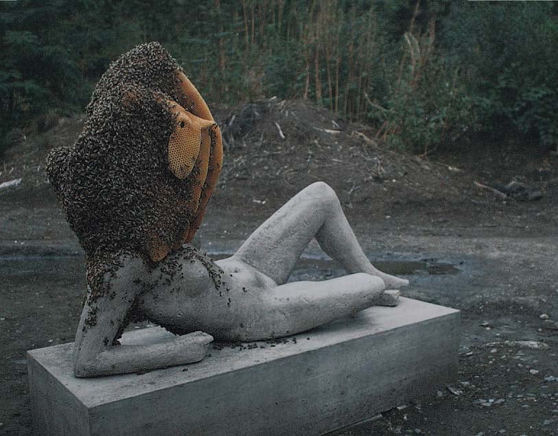 Pierre Huyghe, Untilled (Liegender Frauenakt)(2012) A work including: concrete cast with a beehive structure and warm which was an installation at Documenta 13, June 9 – September 16, 2012, Kassel, Germany. © Pierre Huyghe. Photo Courtesy: the artist/Nasher Sculpture Center. 
