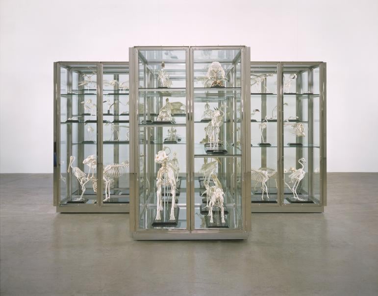 Damien Hirst, <em>Where Are We Going? Where Do We Come From? Is There a Reason?</em> (2000–04). Courtesy of Damien Hirst. 