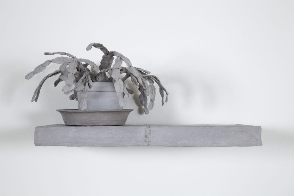 Daphne Wright, Still Life Plant (2014). Courtesy of the artist and Frith Street Gallery.