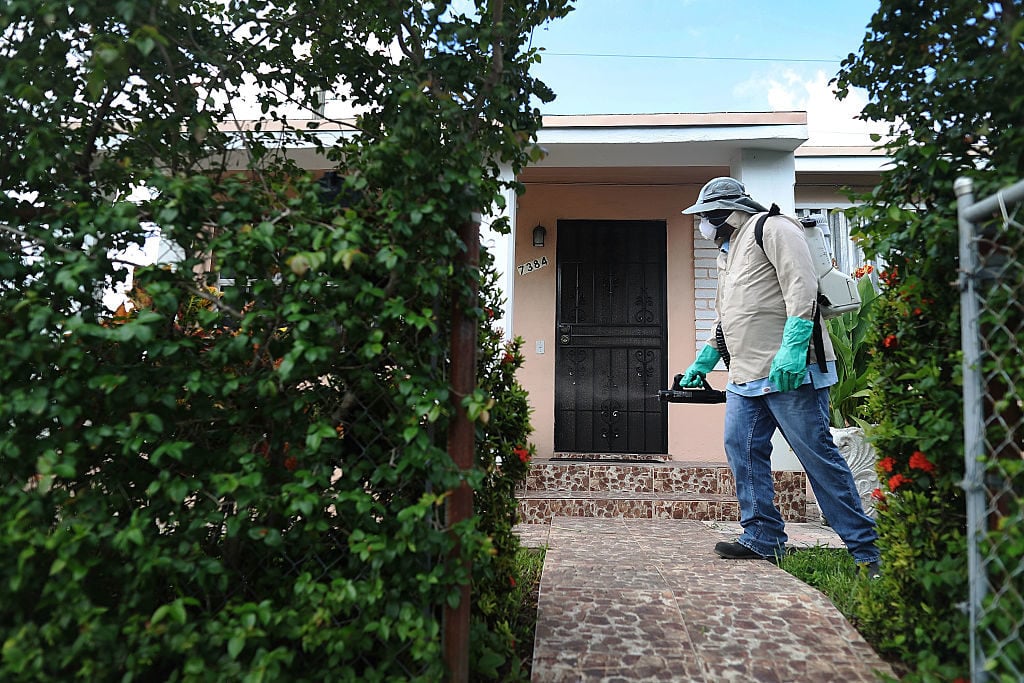 AMiami-Dade County mosquito control inspector, uses a sprayer to kill mosquitos that are carrying the Zika virus on October 14, 2016. Photo by Joe Raedle/Getty Images.