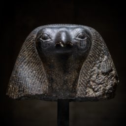 Head of Horus. Courtesy Axel Vervoordt.
