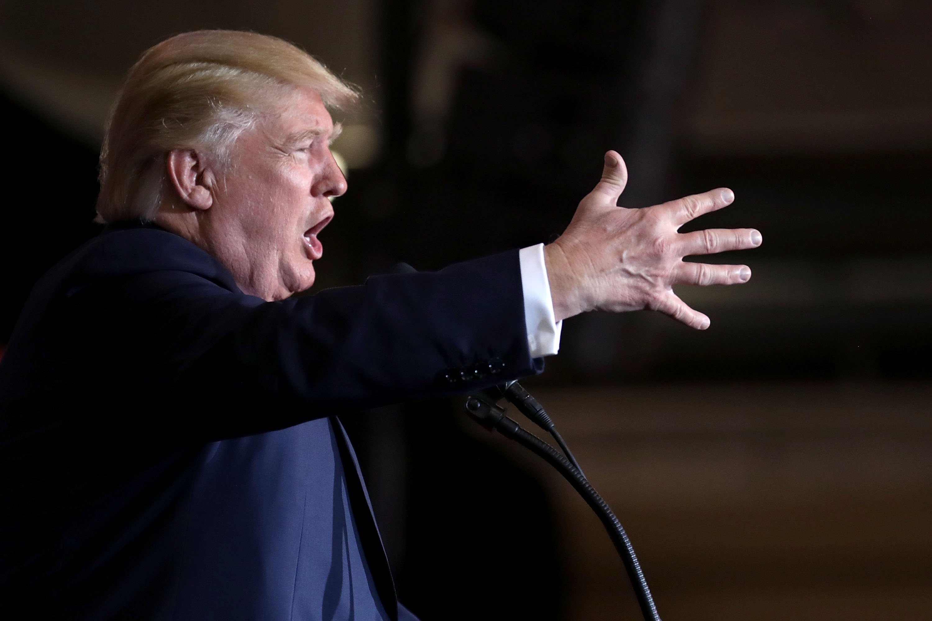 Republican presidential nominee Donald Trump speaks at a campaign rally. Courtesy of Chip Somodevilla/Getty Images.