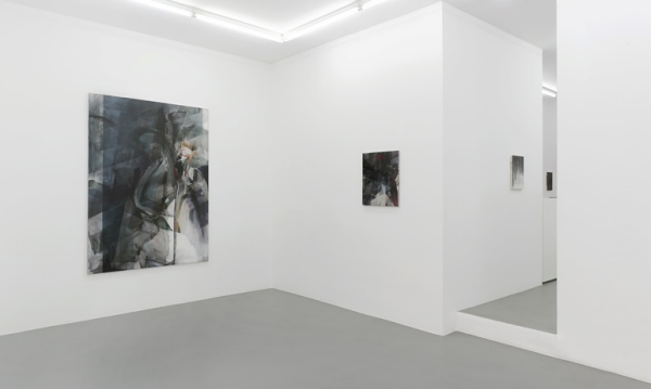 Nelleke Beltjens and Natascha Schmitten, Installation view. Courtesy of Galerie Christian Lethert.