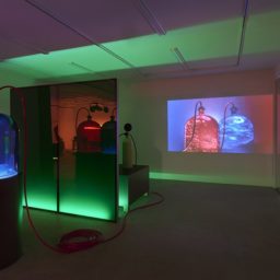 Installation view of "Mike Kelley: Kandors" at Venus Over Manhattan, New York. ©Mike Kelley Foundation for the Arts. All Rights Reserved/Licensed by VAGA, New York, NY. Courtesy VENUS, New York.
