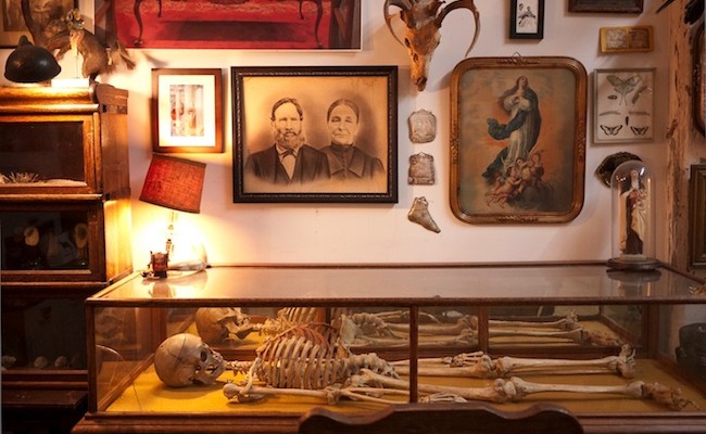 At the time of its 2014 opening, Brooklyn's Morbid Anatomy Museum boasted 2,500 books and one human skeleton. Courtesy the Morbid Anatomy Museum.