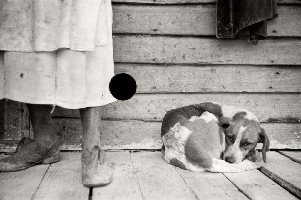 Sharecropper and dog in 1938, N.C., from <em>Ground: A Reprise of Photographs from the Farm Security Administration</em>. Courtesy of Daylight Books.