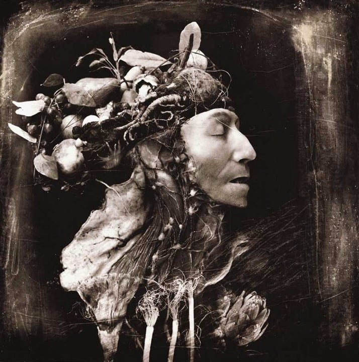 Joel-Peter Witkin, Harvest, Philadelphia (1984). Courtesy of A Gallery for Fine Photography.