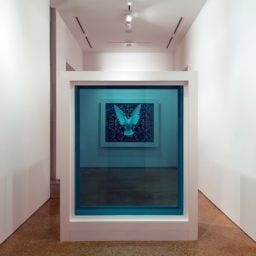 Work by Damien Hirst on view at the Goss-Michael Foundation. Courtesy of the Goss-Michael Foundation.