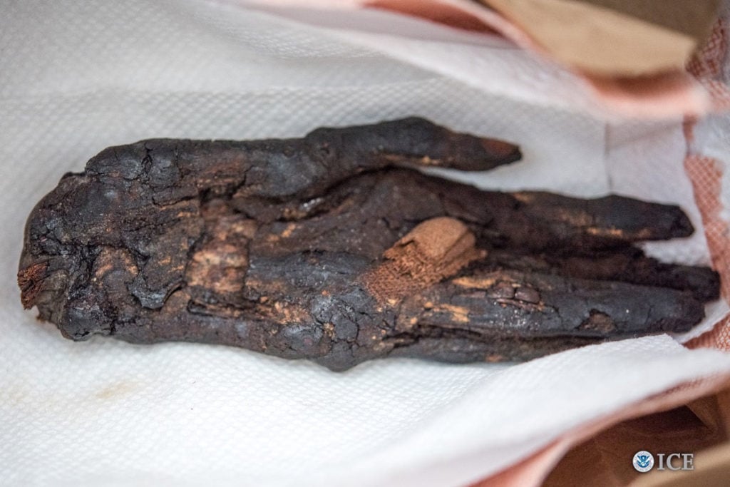 This mummy hand, from the eighth century BC, had been smuggled into the US from Egypt. Courtesy of Josh Denmark/ICE.