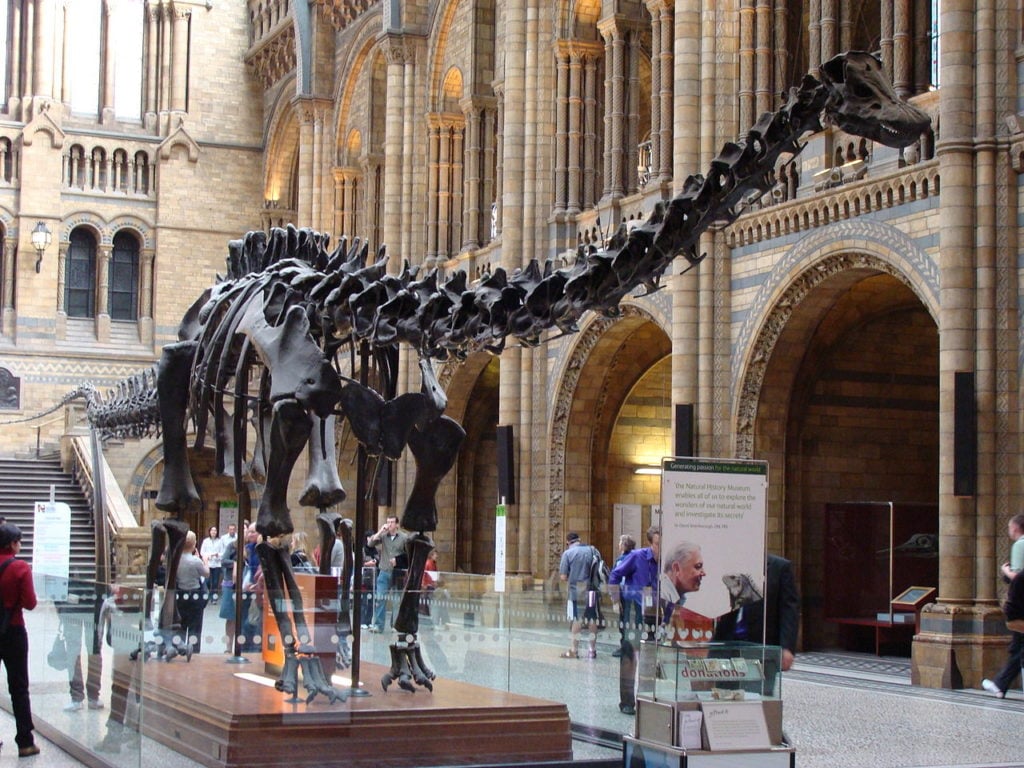 Dippy the dinosaur at London’s Natural History Museum Hintze Hall.