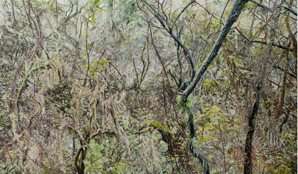 Heo Suyong, Forest 2 (2015). Courtesy of Hakgojae Gallery.