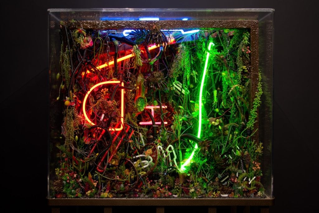 Max Hooper Schneider The Extinction of Neon 2 (2015). Photo: courtesy High Art, Paris. 