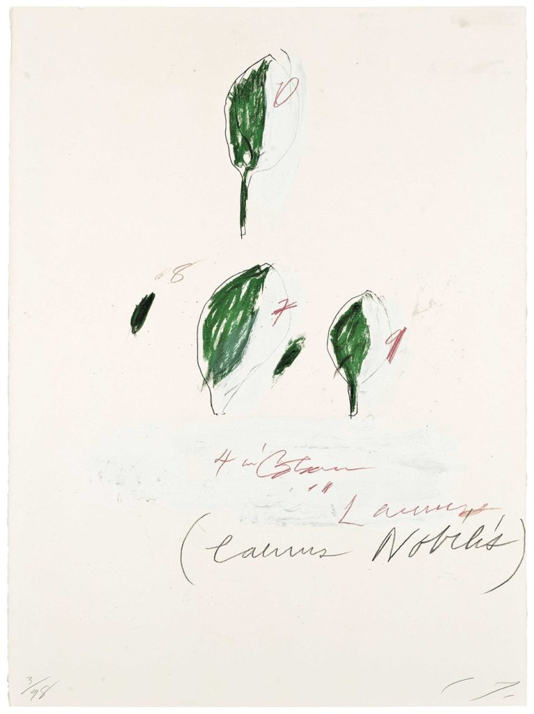 Cy Twombly, <i>Laurus Nobilis: Natural History Part II</i> (ca. 1975–1976). Courtesy Rusterholtz Galerie + Auktionen.