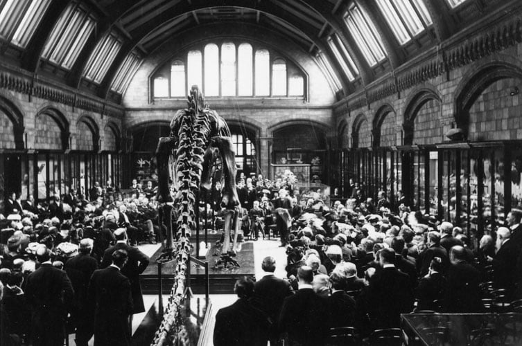 Public unveiling of Dippy at London’s National History, on May 12, 1905. Courtesy Natural History Museum.