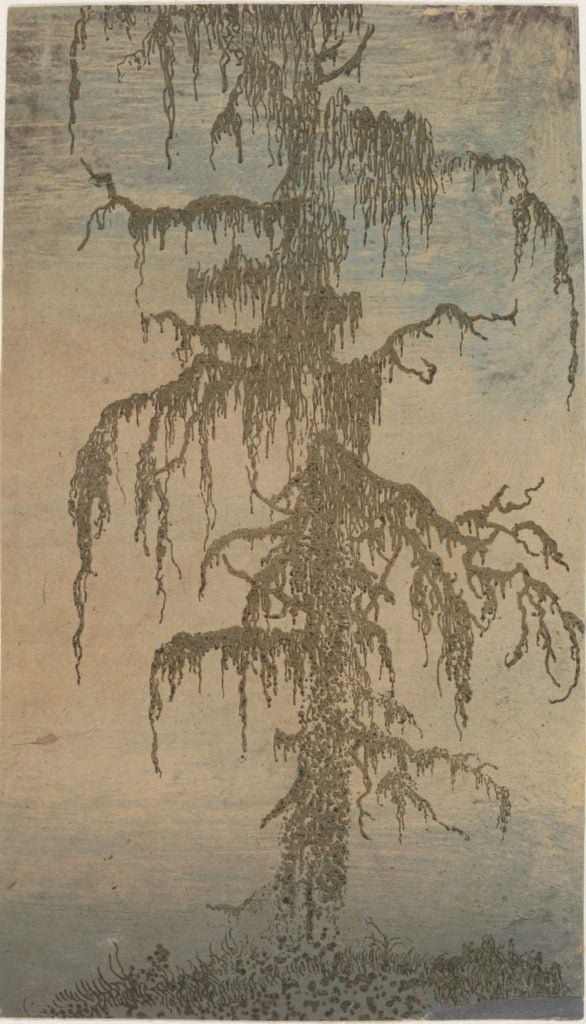 Hercules Segers, The Mossy Tree(circa 1625–30). Lift-ground etching printed in green, on a light pink ground, colored with brush; unique impression. On loan from the Rijksmuseum, Amsterdam. Courtesy of the Metropolitan Museum of Art.