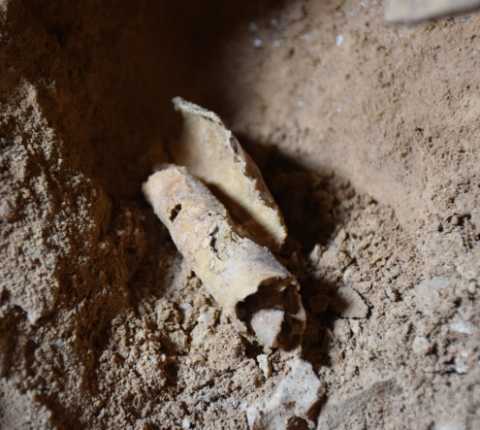 A remnant of a Dead Sea Scroll. Courtesy The Hebrew University, Jerusalem