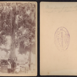 H.S. Clark & Son, African American men and children sit with a woman beneath a large tree with a fence in the background. A cart and a house are seen behind the tree. The back reads "Moss tree for a meat market (circa mid-19th century). Courtesy of the Loewentheil Collection of African-American Photographs, Cornell University Library.