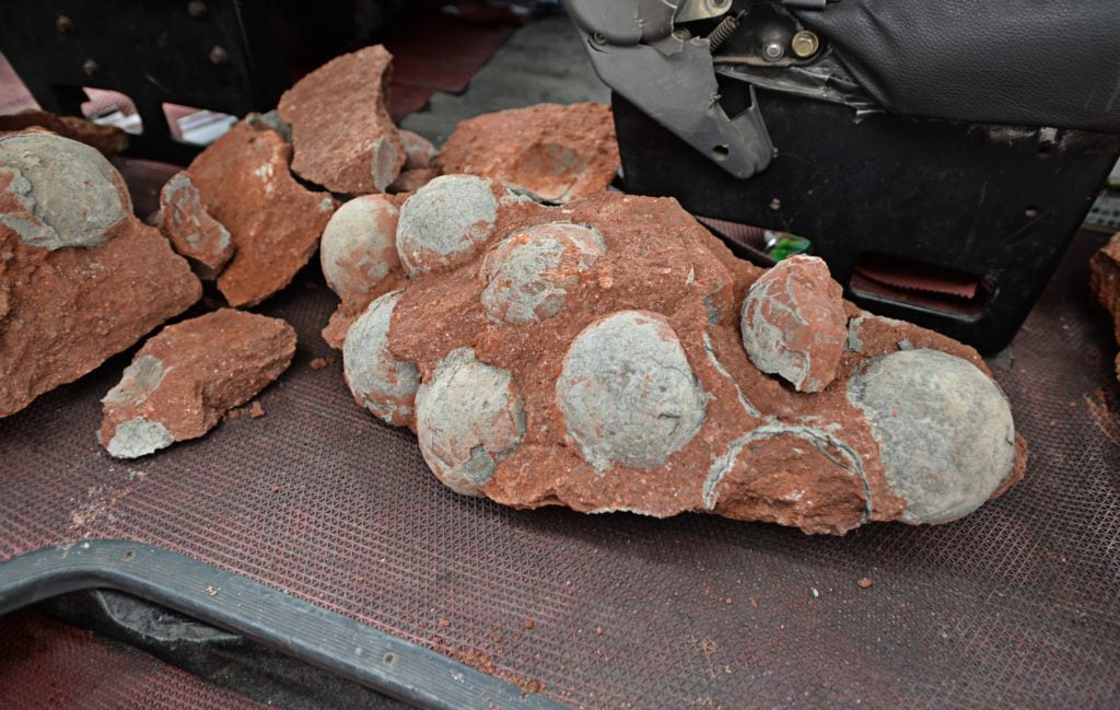 This picture taken on April 19, 2015, shows some of the dinosaur egg fossils found on a construction site in Heyuan, south China's Guangdong province. He Yuan, the Chinese city that holds the world record for largest number of dinosaur eggs has added to its collection after dozens more were unearthed at a construction site, state media reported. Courtesy of STR/AFP/Getty Images.